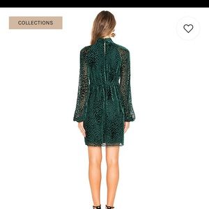 Nadia Velvet Dress in Evergreen